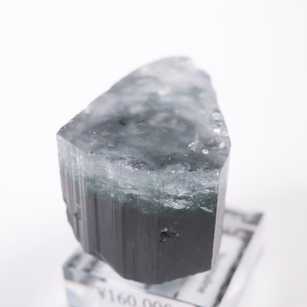 �ѥ������� �ȥ�ޥ��