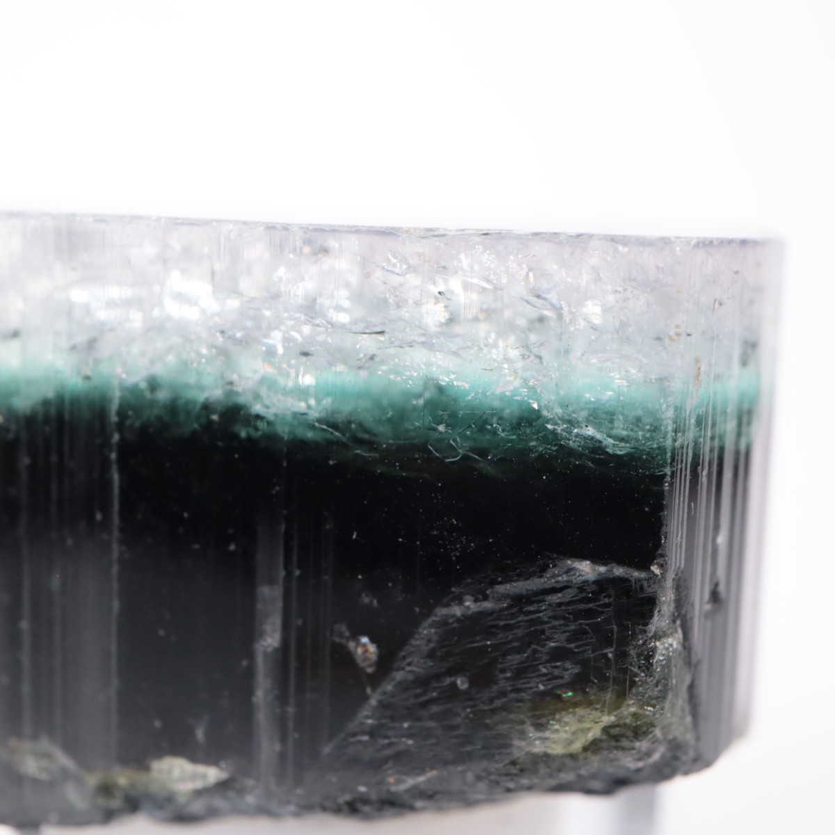 �ѥ������� �ȥ�ޥ��