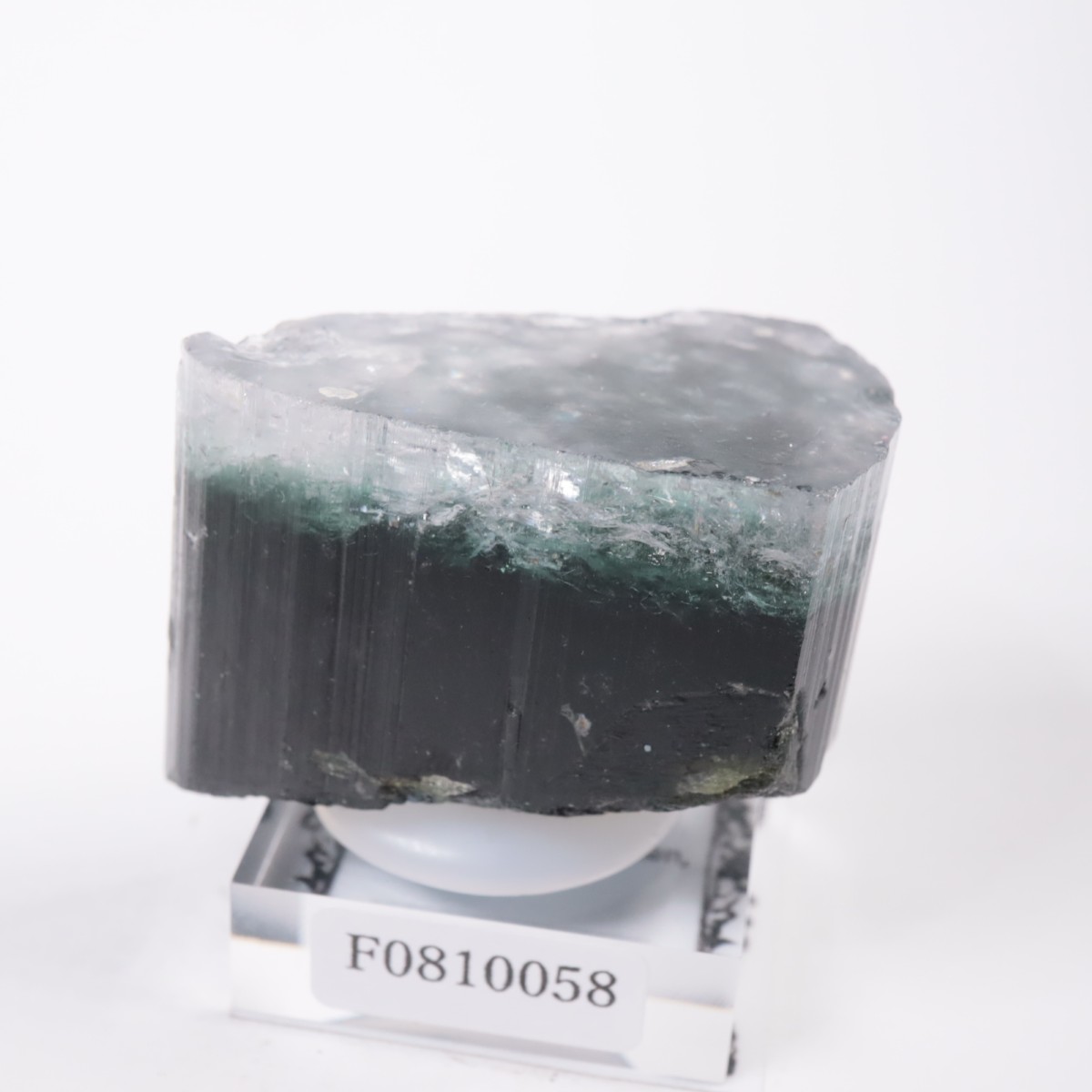 �ѥ������� �ȥ�ޥ��