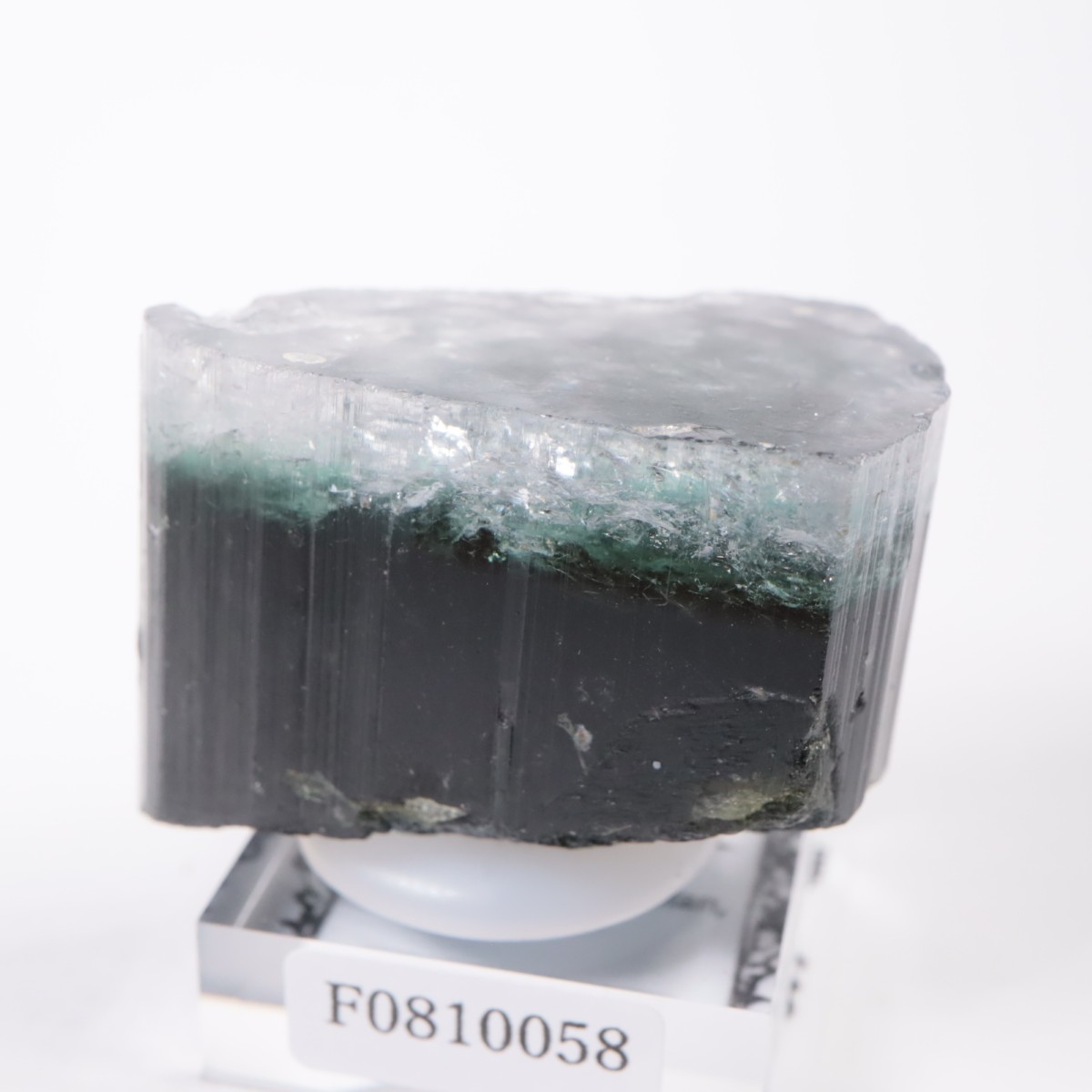 �ѥ������� �ȥ�ޥ��