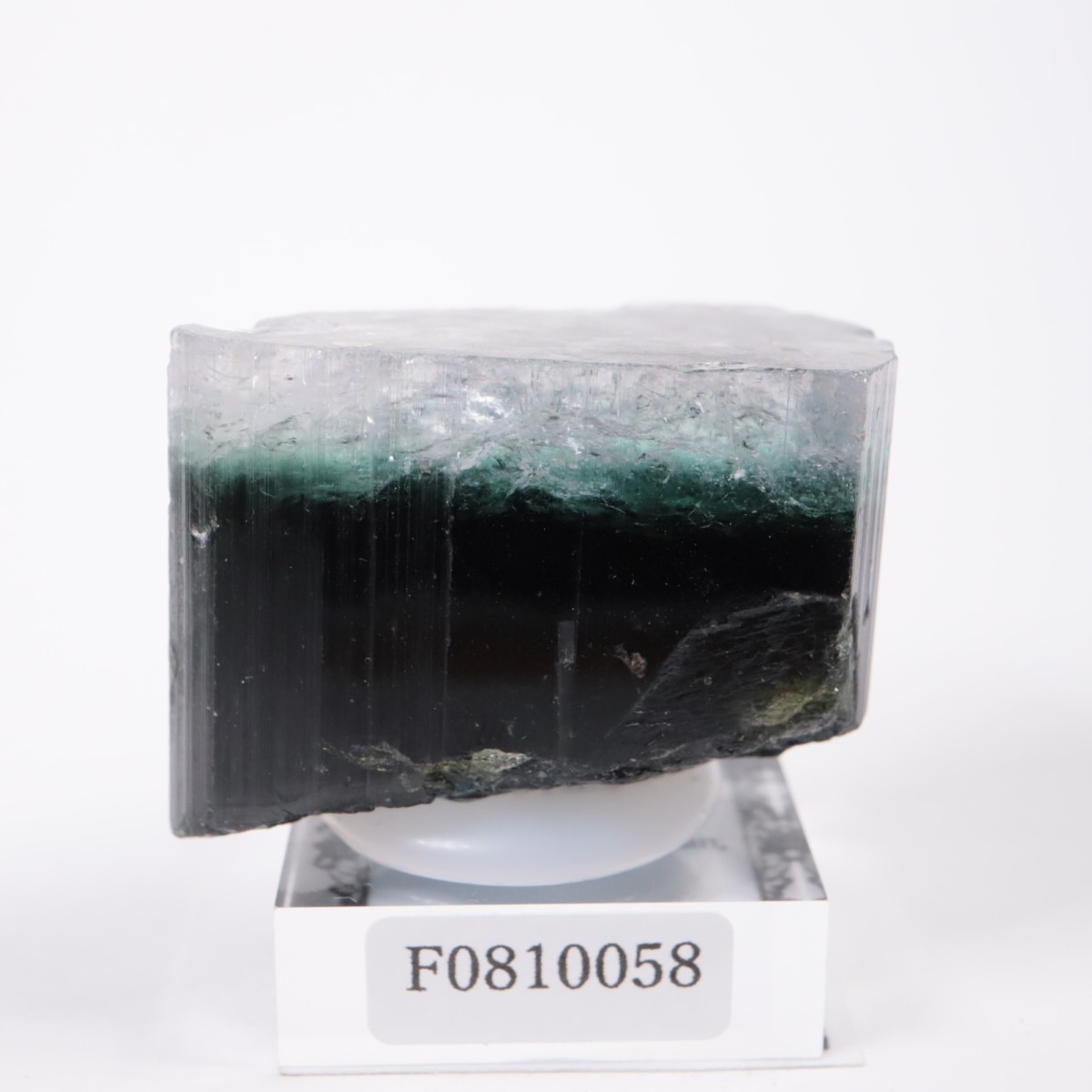 �ѥ������� �ȥ�ޥ��