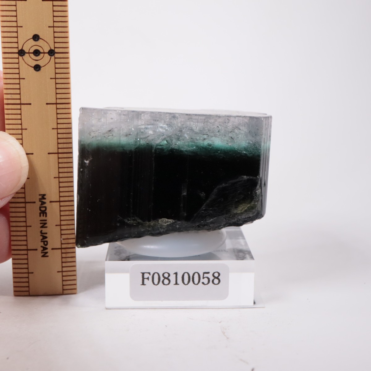 �ѥ������� �ȥ�ޥ��