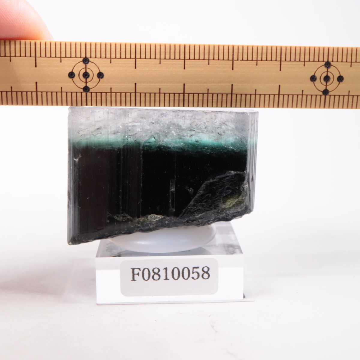 �ѥ������� �ȥ�ޥ��