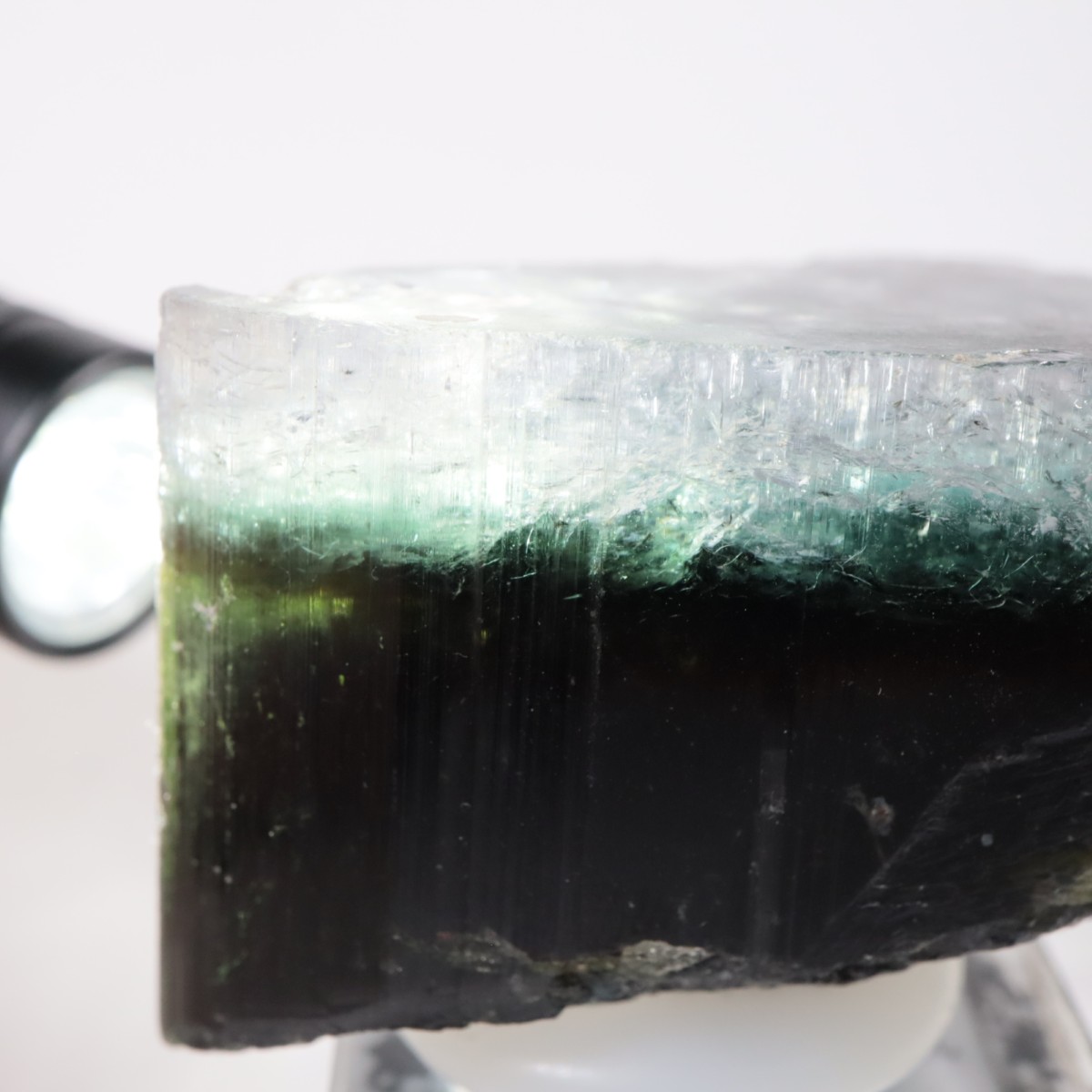 �ѥ������� �ȥ�ޥ��