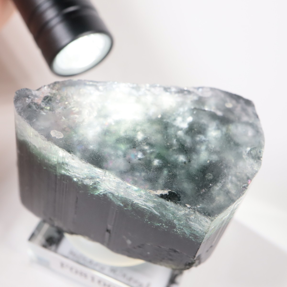 �ѥ������� �ȥ�ޥ��