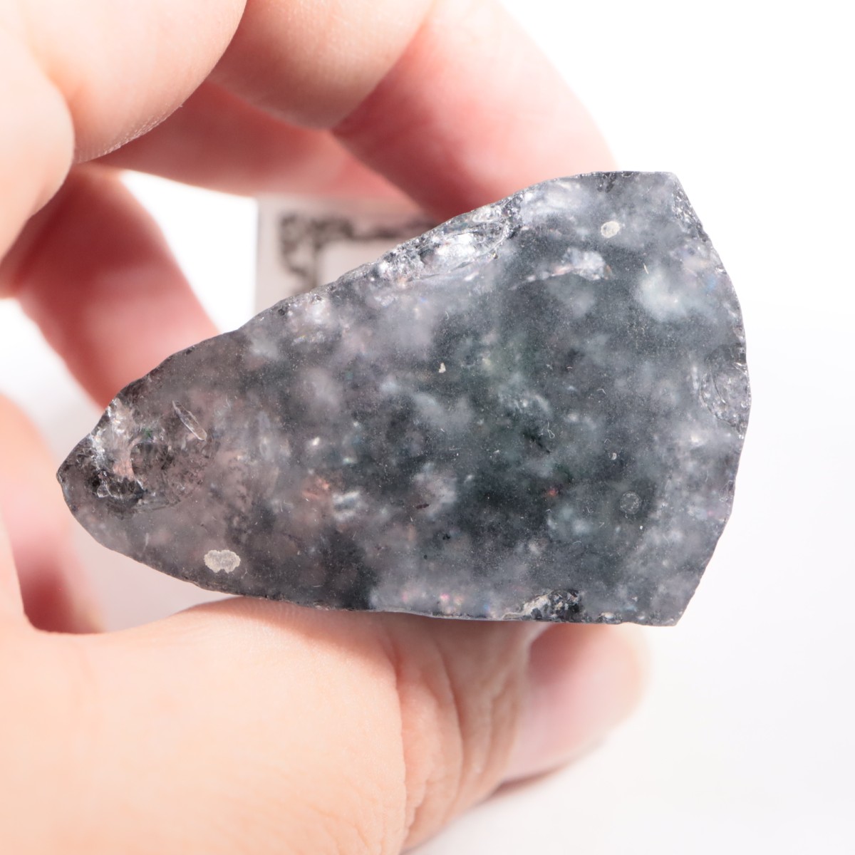 �ѥ������� �ȥ�ޥ��