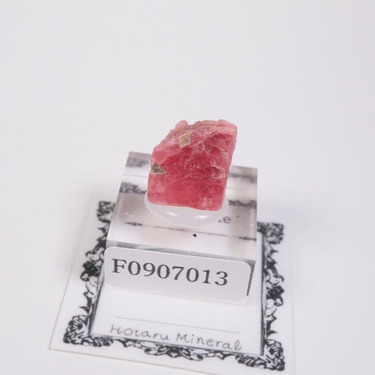 �֥饸�뻺 �����ɥʥ���