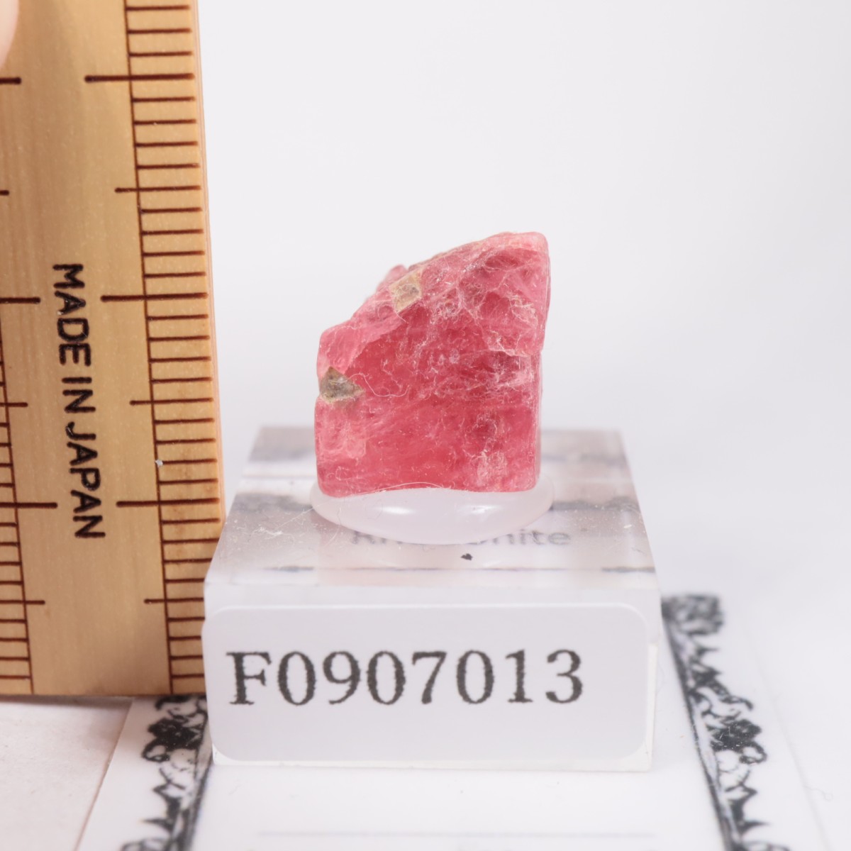 �֥饸�뻺 �����ɥʥ���