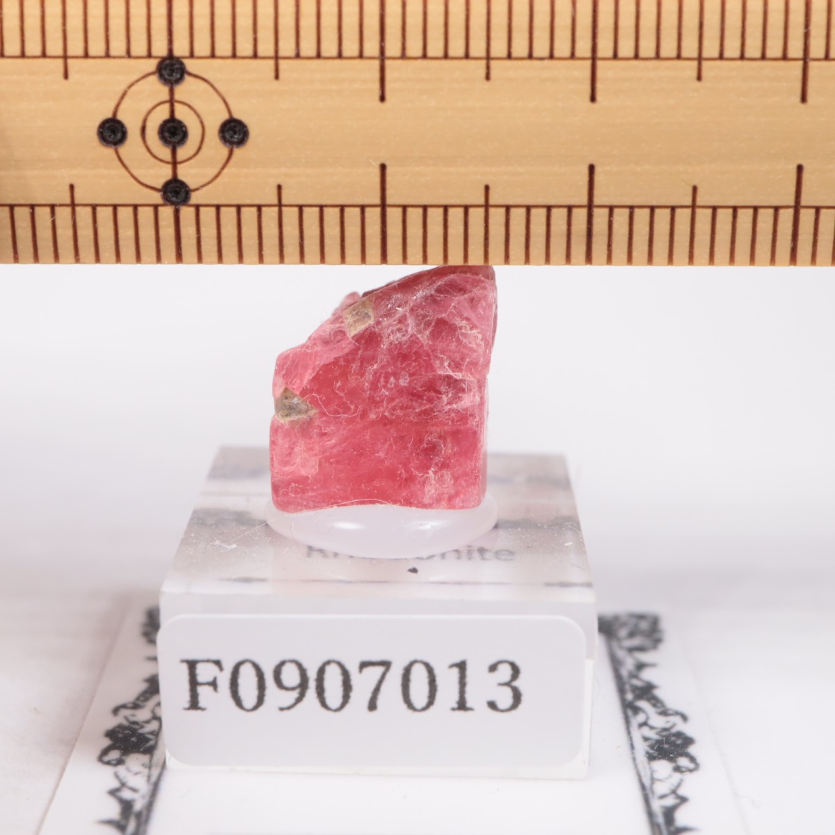 �֥饸�뻺 �����ɥʥ���