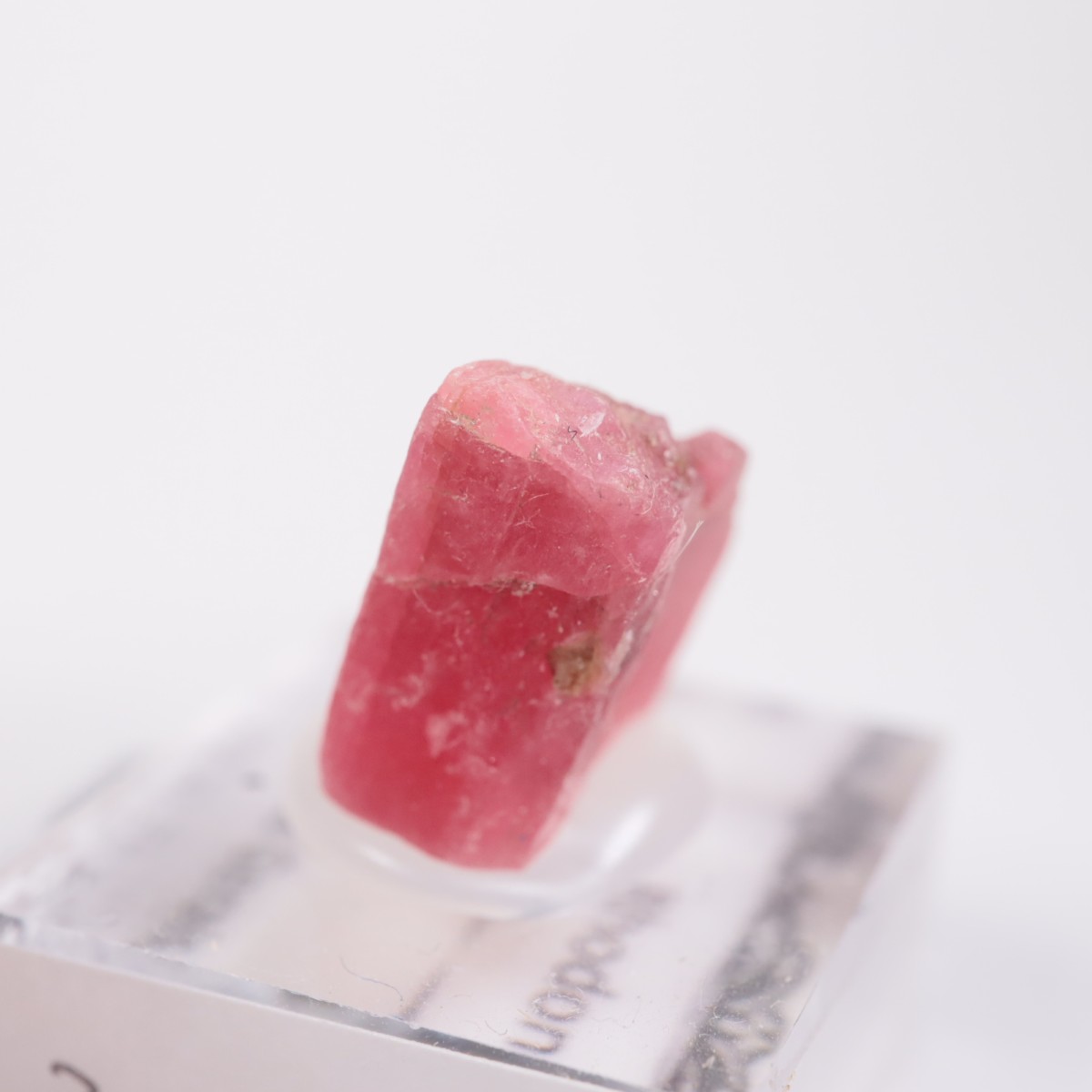 �֥饸�뻺 �����ɥʥ���