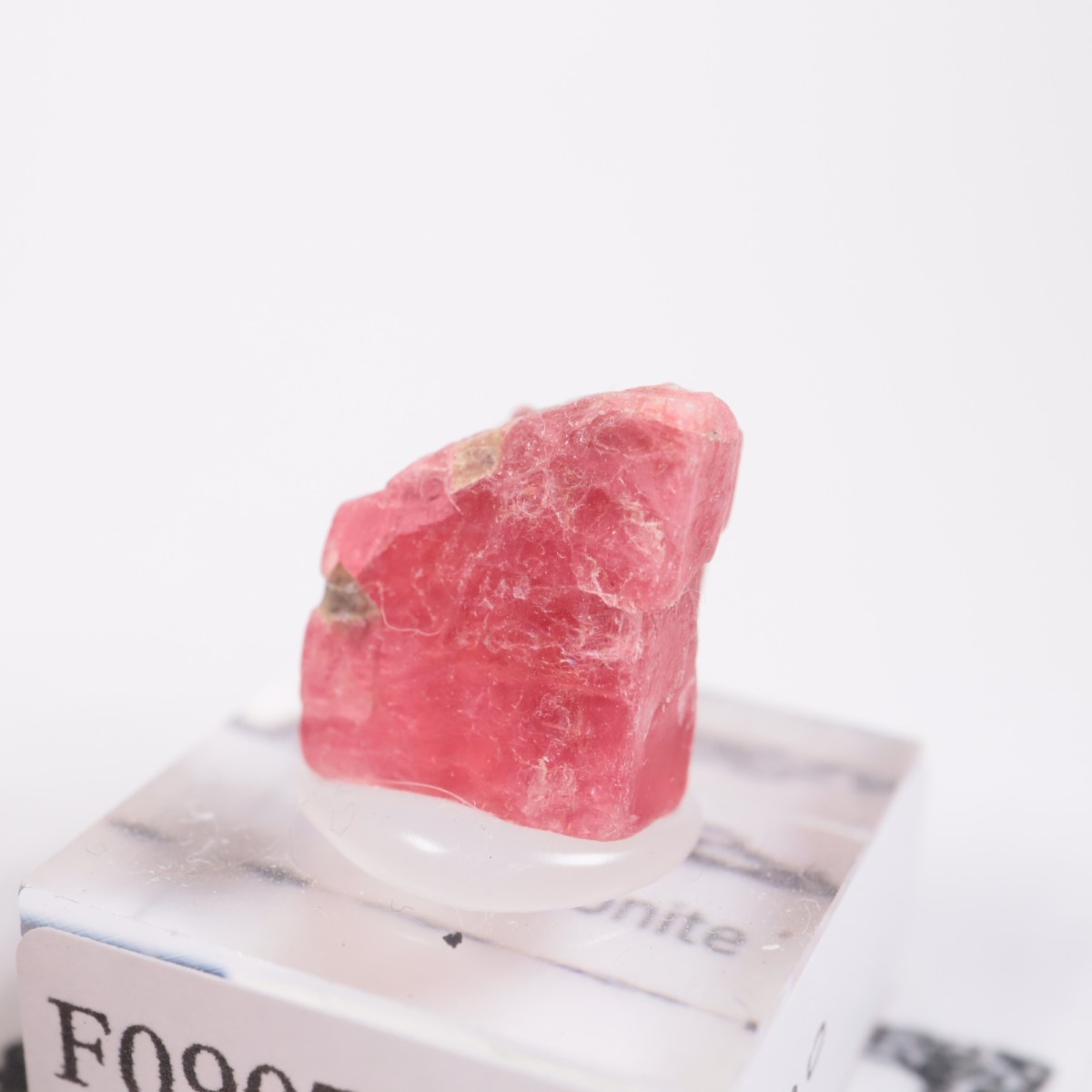 �֥饸�뻺 �����ɥʥ���