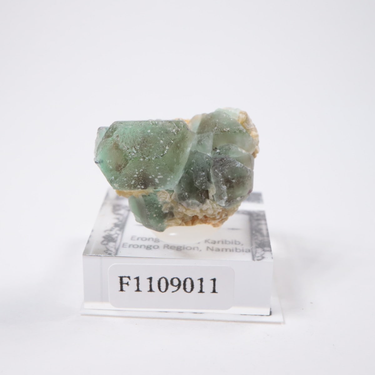 Erongo�ۻ� �ե����饤��