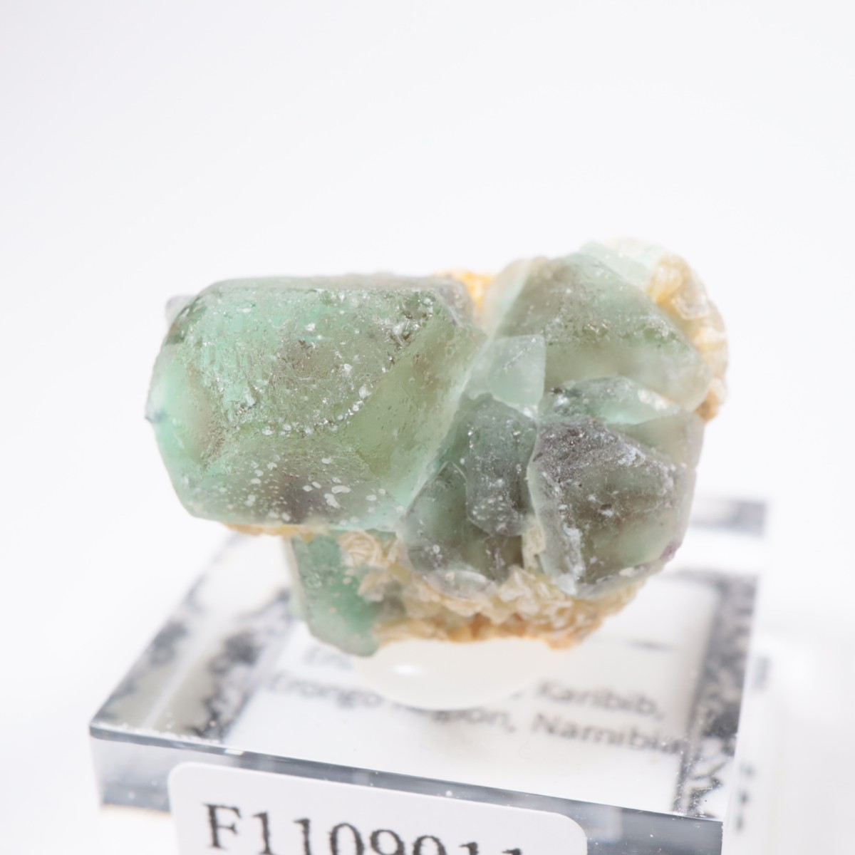 Erongo�ۻ� �ե����饤��