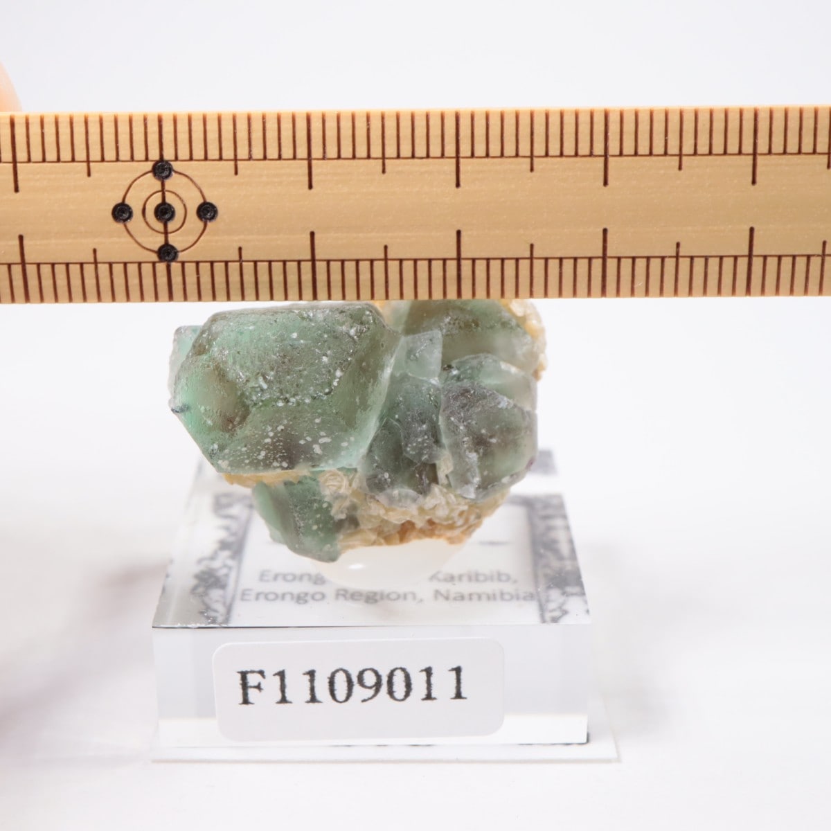 Erongo�ۻ� �ե����饤��