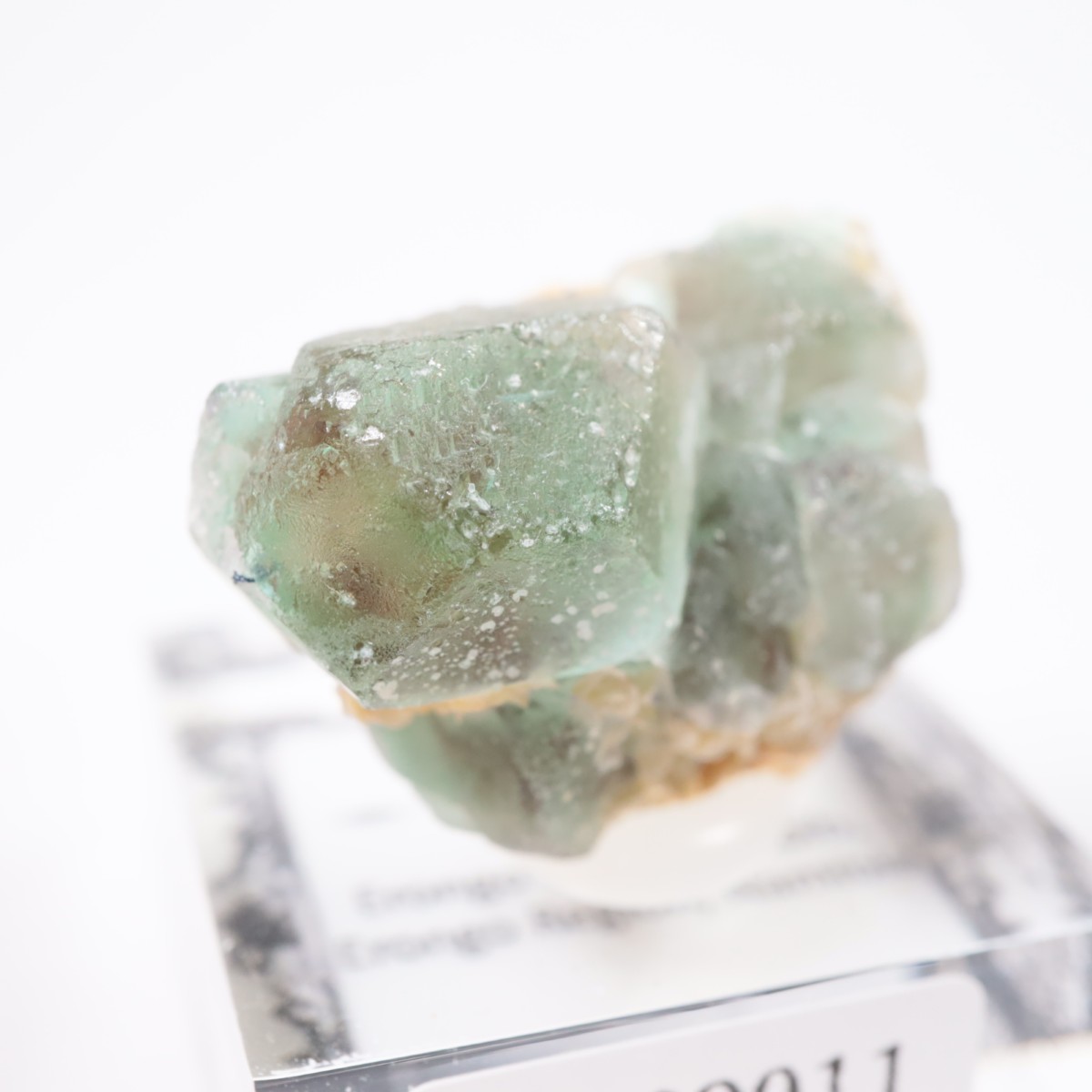 Erongo�ۻ� �ե����饤��