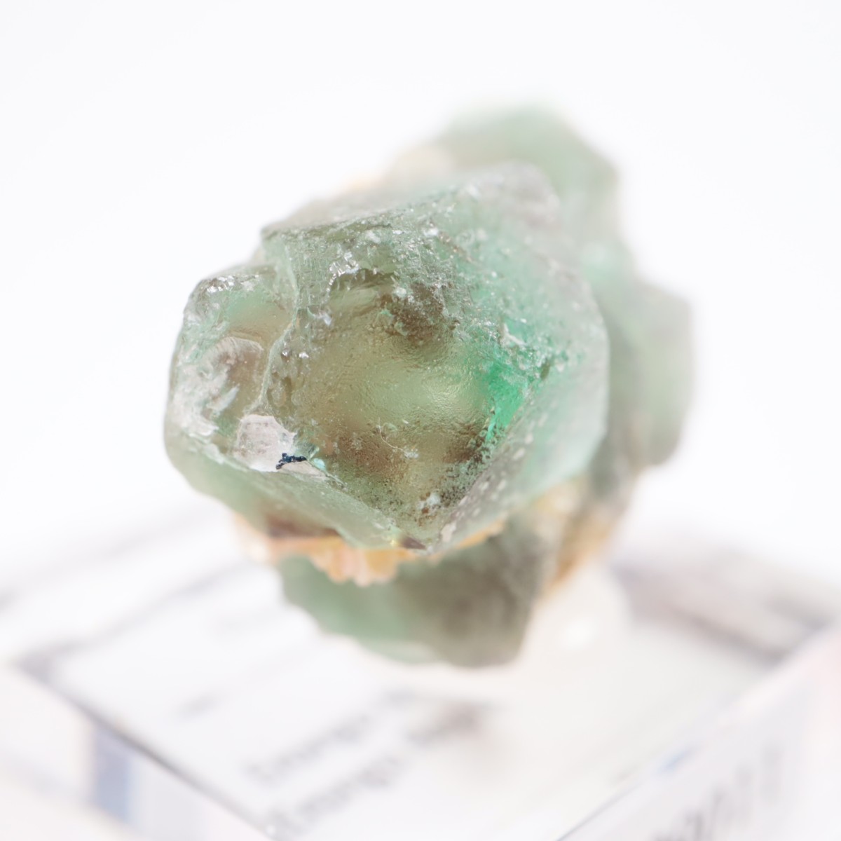 Erongo�ۻ� �ե����饤��