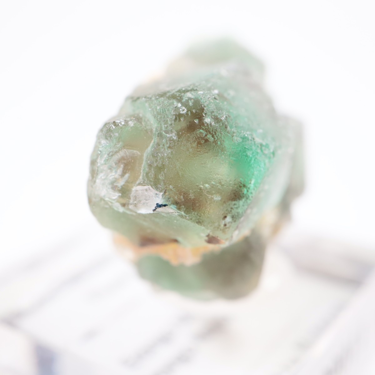 Erongo�ۻ� �ե����饤��