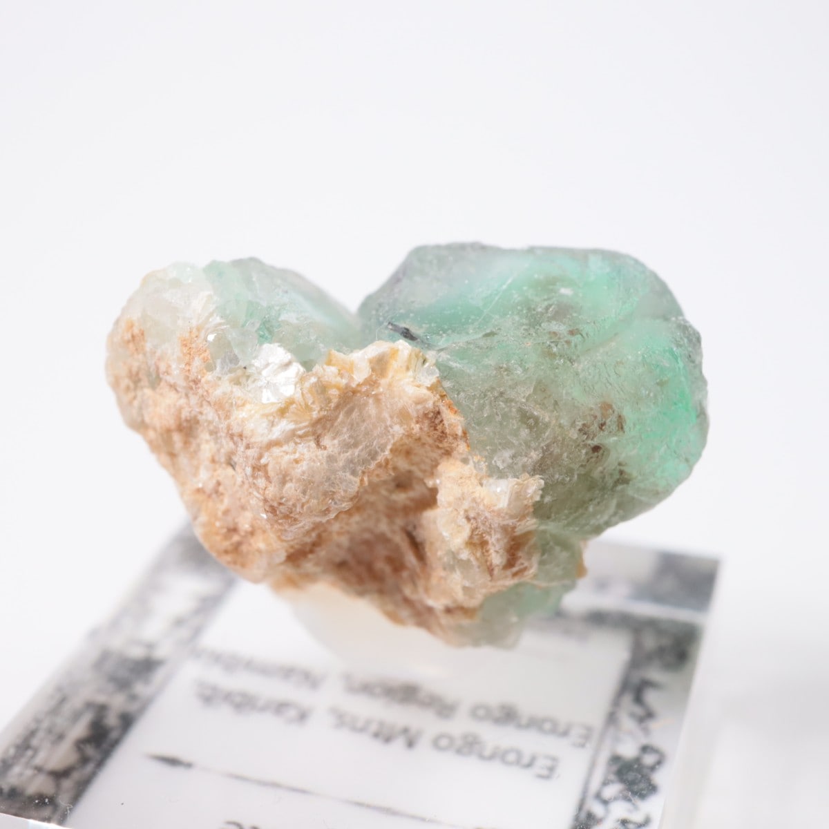 Erongo�ۻ� �ե����饤��