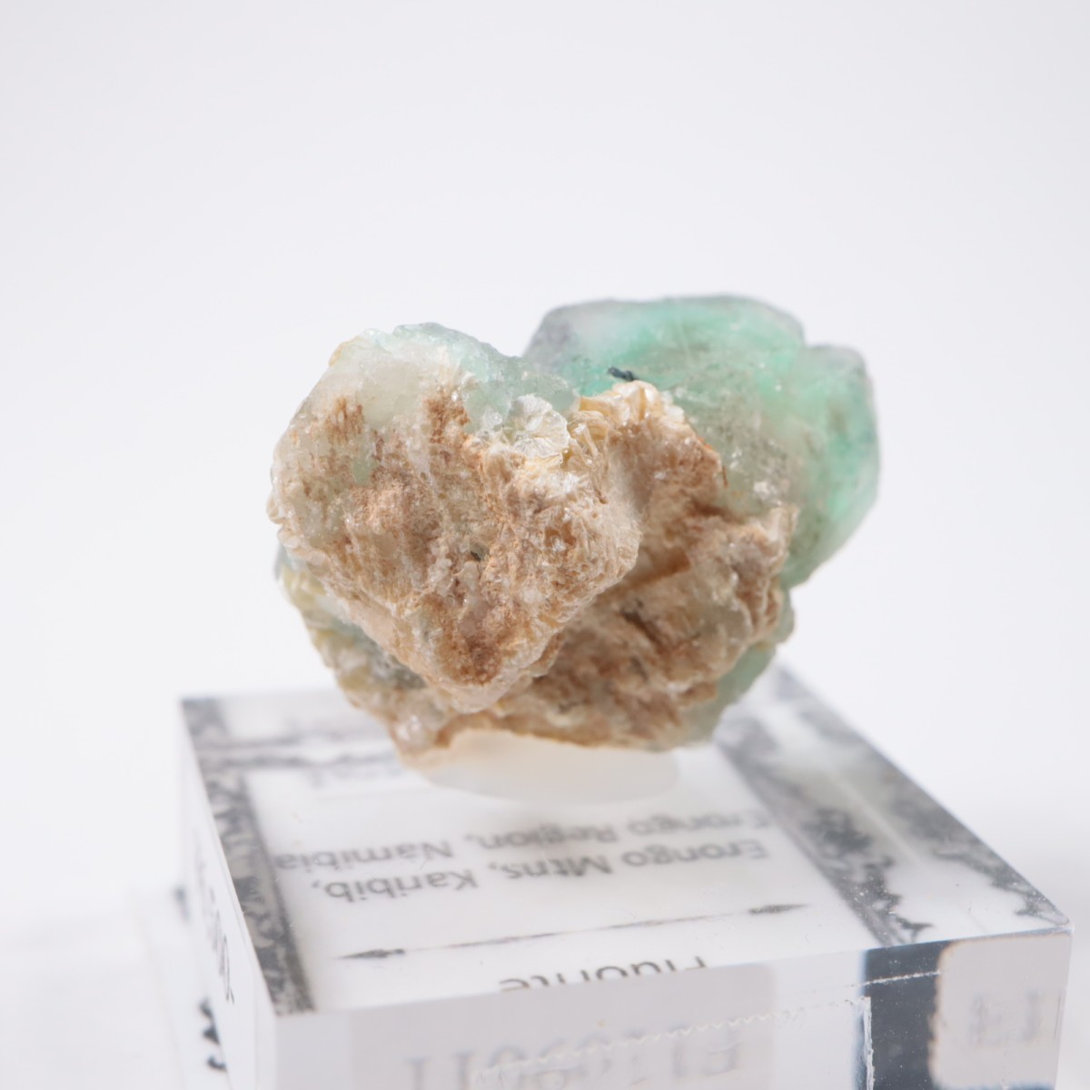 Erongo�ۻ� �ե����饤��