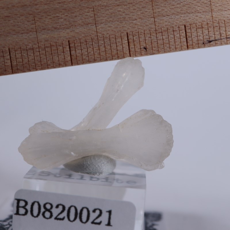 ����ɻ����ƥ���Х��ȡʥܥ�������