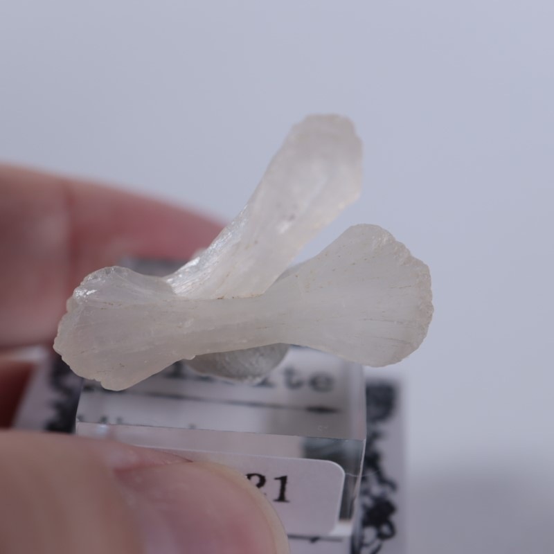 ����ɻ����ƥ���Х��ȡʥܥ�������