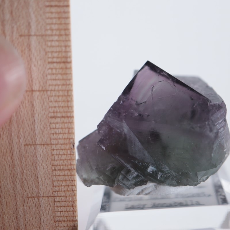 140 UK レディアナベラ Purple Rain Pocket フローライト 140 UK レディアナベラ Purple Rain Pocket フローライト 140 UK