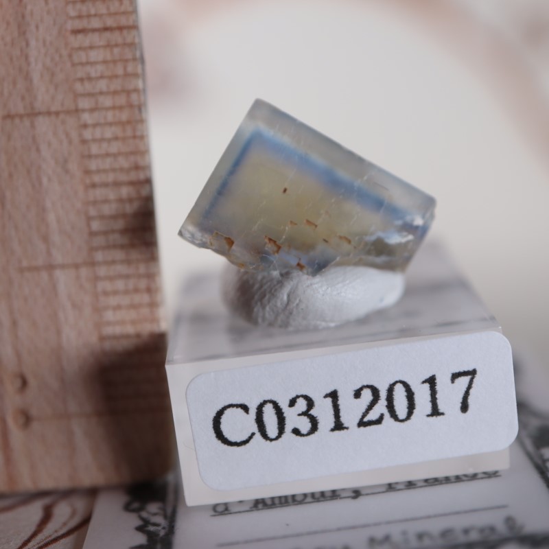 �ե�󥹻����ե����饤��