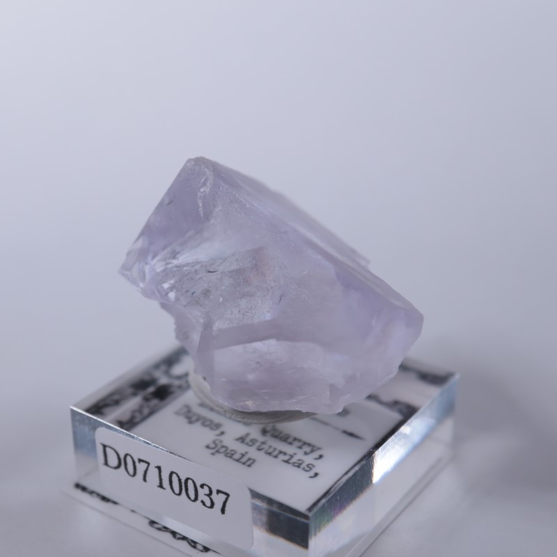 Llamas�����ե����饤��