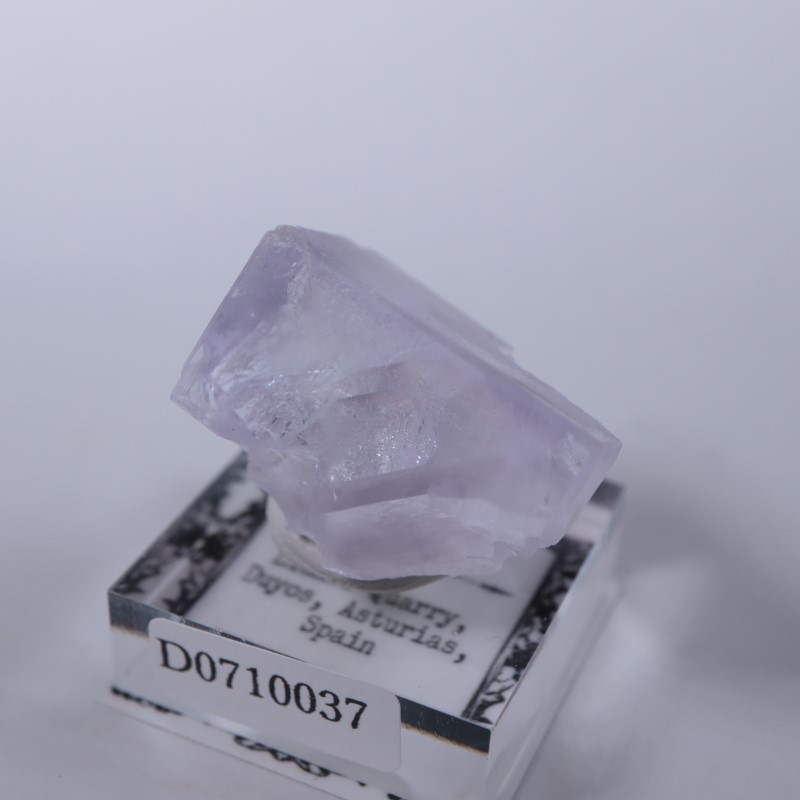 Llamas�����ե����饤��