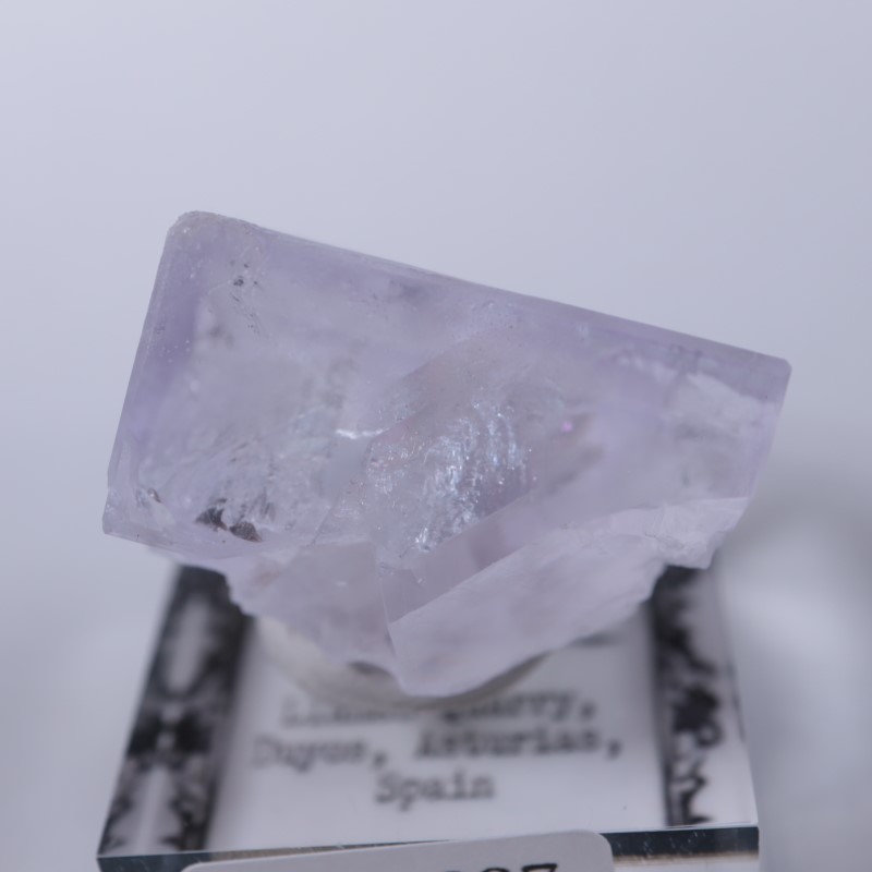 Llamas�����ե����饤��