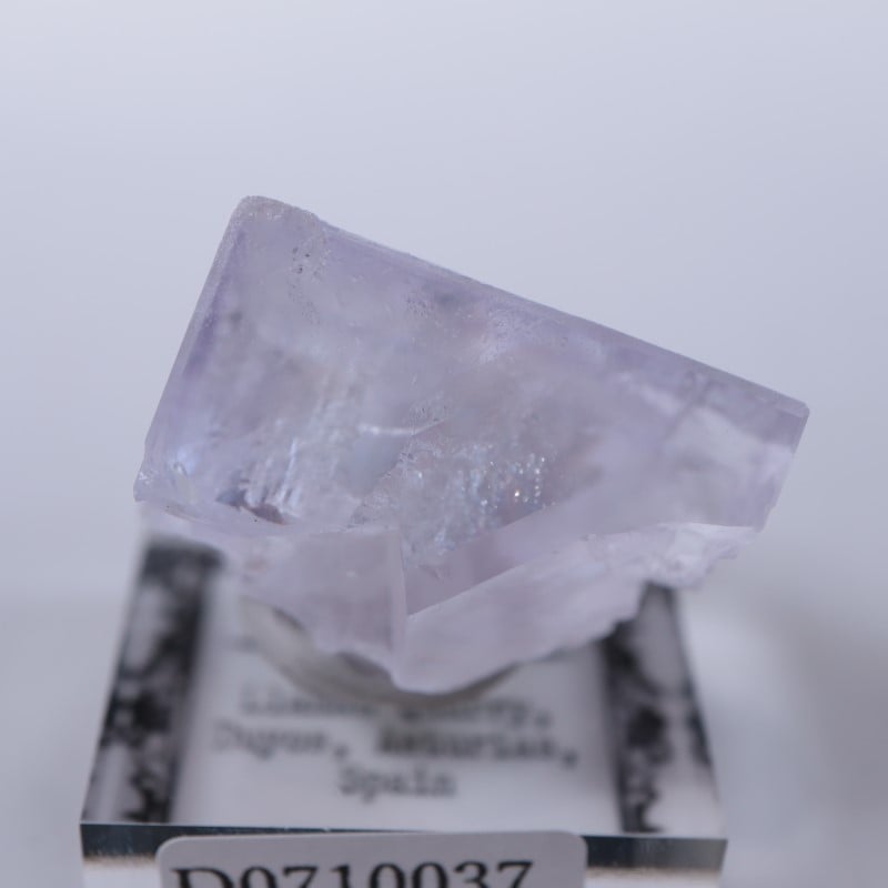 Llamas�����ե����饤��