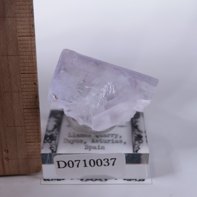 Llamas�����ե����饤��