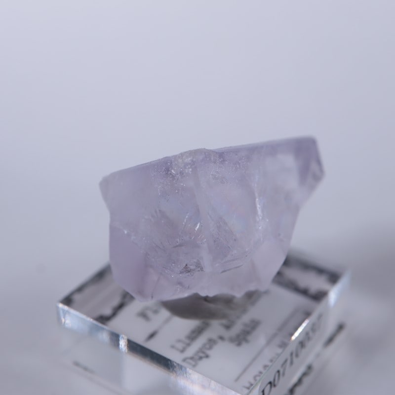 Llamas�����ե����饤��