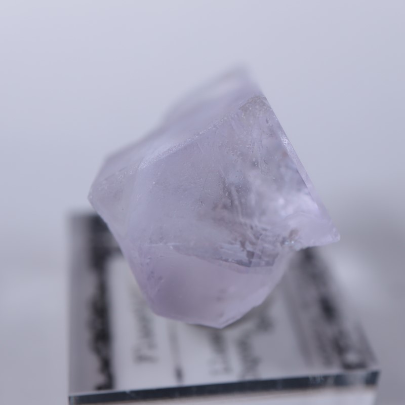 Llamas�����ե����饤��