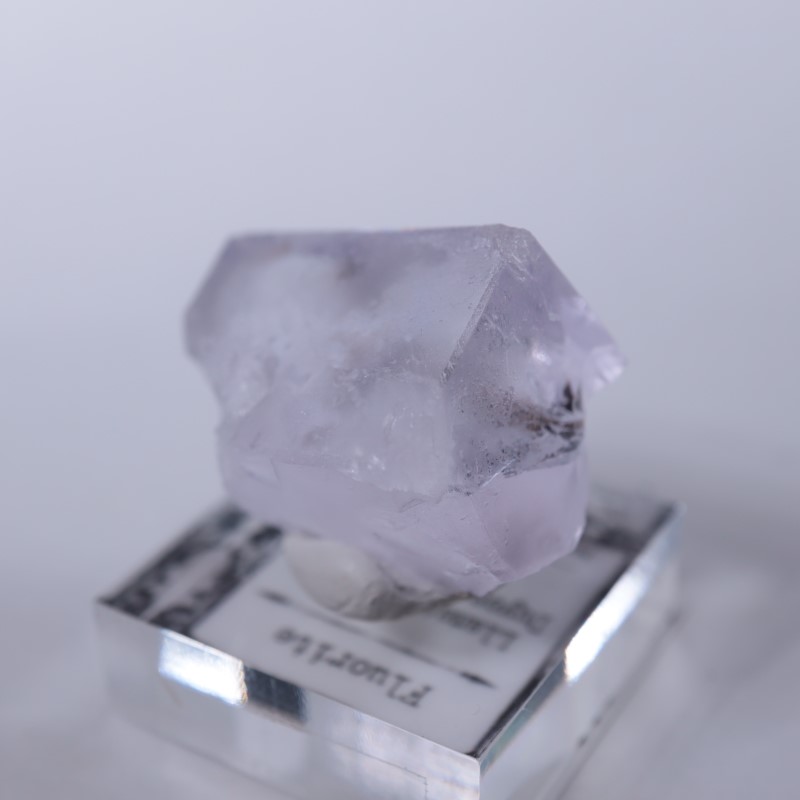 Llamas�����ե����饤��