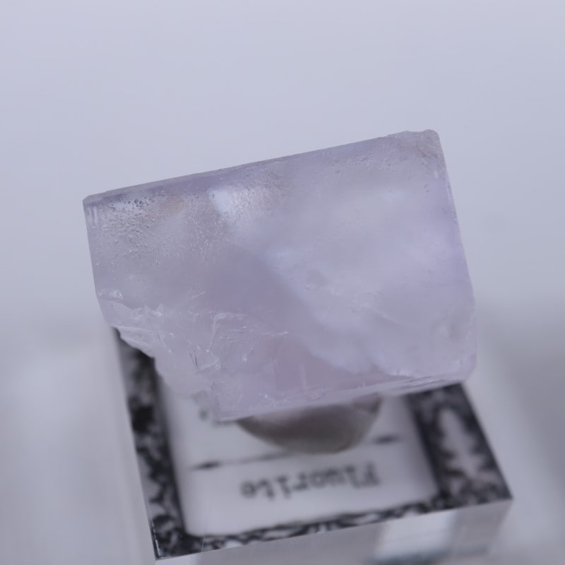 Llamas�����ե����饤��