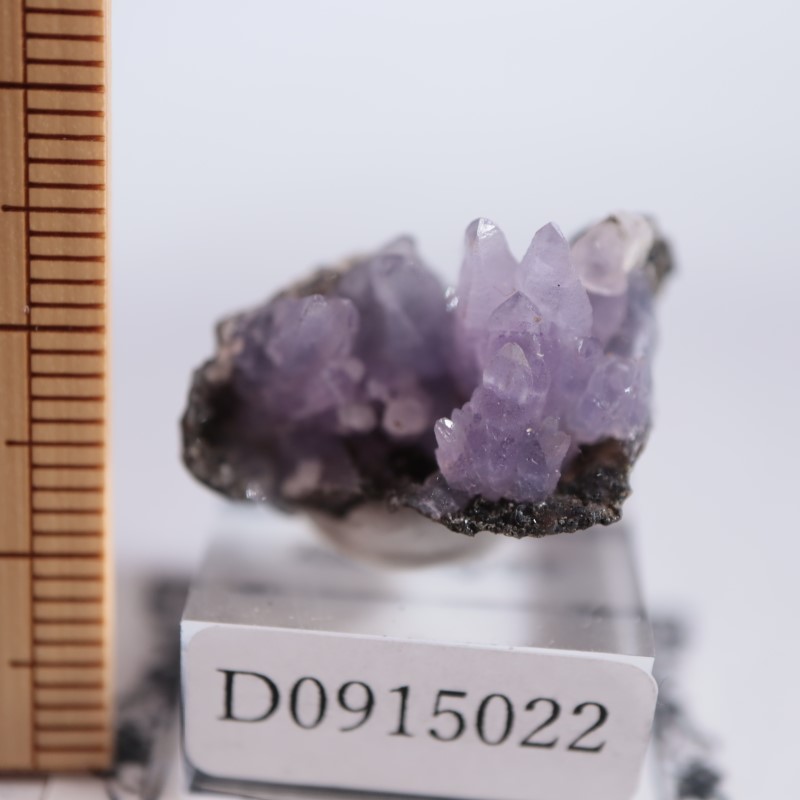 ルワンダ産 アメジスト 紫水晶 結晶 原石 鉱物標本 Amazon.co.jp: アメジスト 原石 ミニ子 ワンド ミニ原石 紫水晶