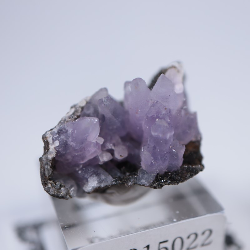 5_000000006139.jpg?1694776671