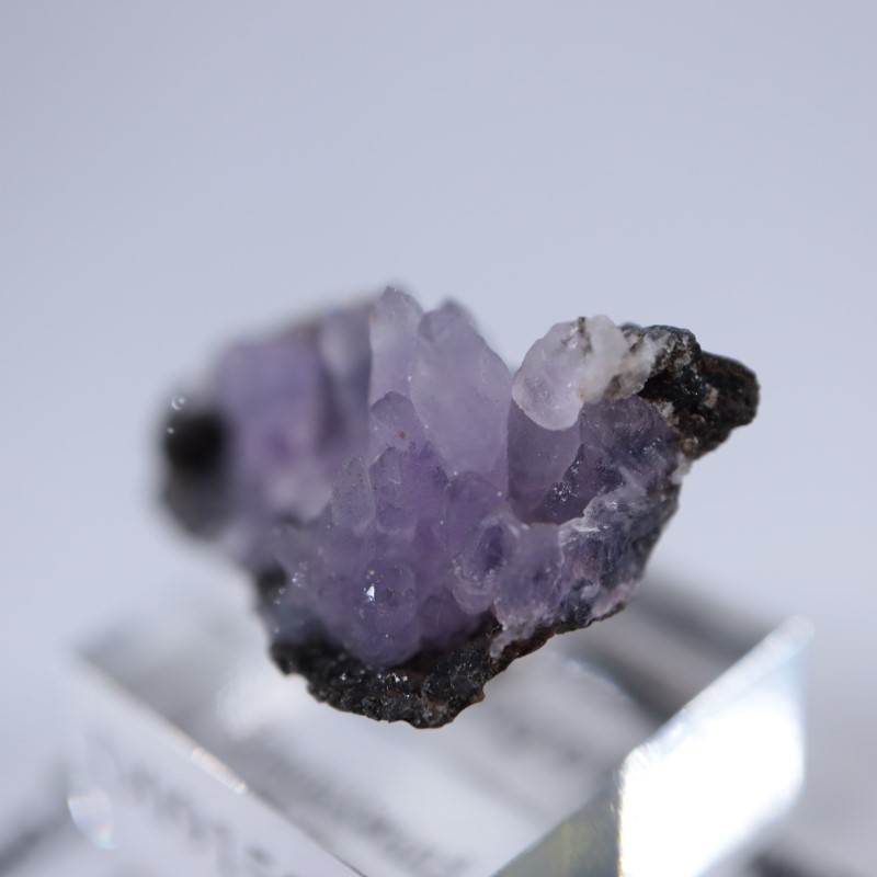 カダクワニ産 アメシスト | 鉱物標本,ア行,アメシスト/紫水晶 | ほたる