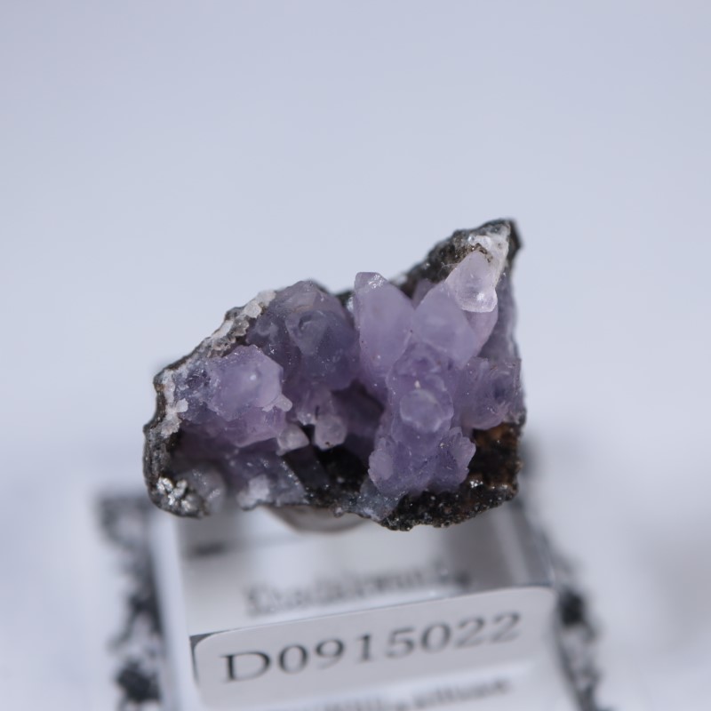 カダクワニ産 アメシスト | 鉱物標本,ア行,アメシスト/紫水晶 | ほたる