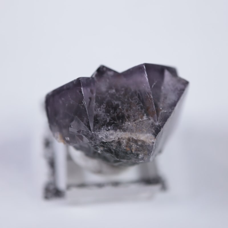 ��ǥ����ʥ٥�ۻ����ե����饤��