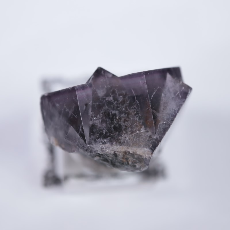 ��ǥ����ʥ٥�ۻ����ե����饤��