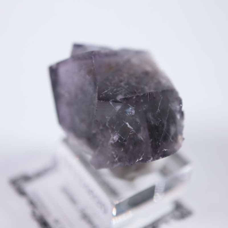 ��ǥ����ʥ٥�ۻ����ե����饤��