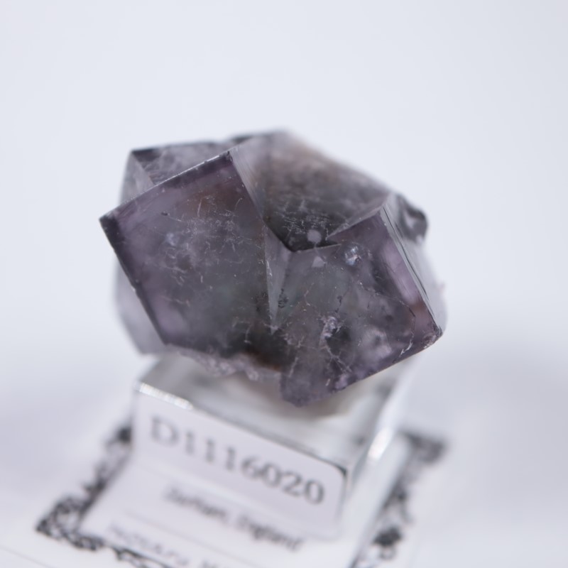 ��ǥ����ʥ٥�ۻ����ե����饤��