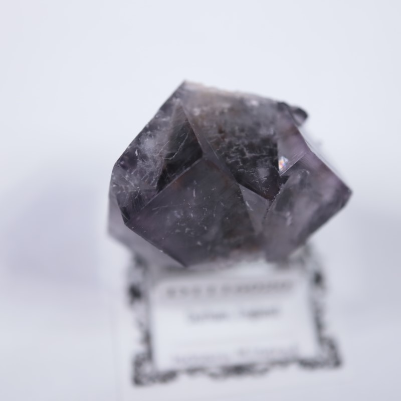 ��ǥ����ʥ٥�ۻ����ե����饤��