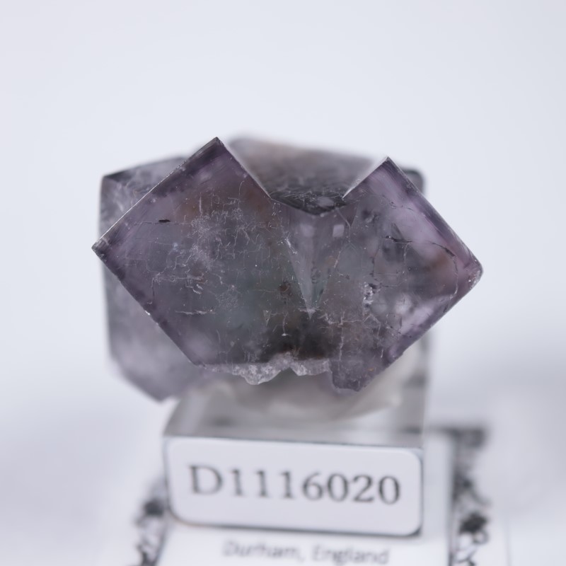 ��ǥ����ʥ٥�ۻ����ե����饤��