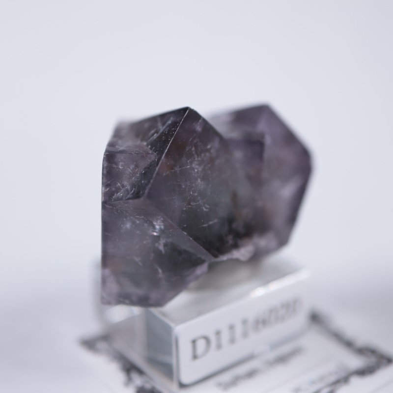 ��ǥ����ʥ٥�ۻ����ե����饤��