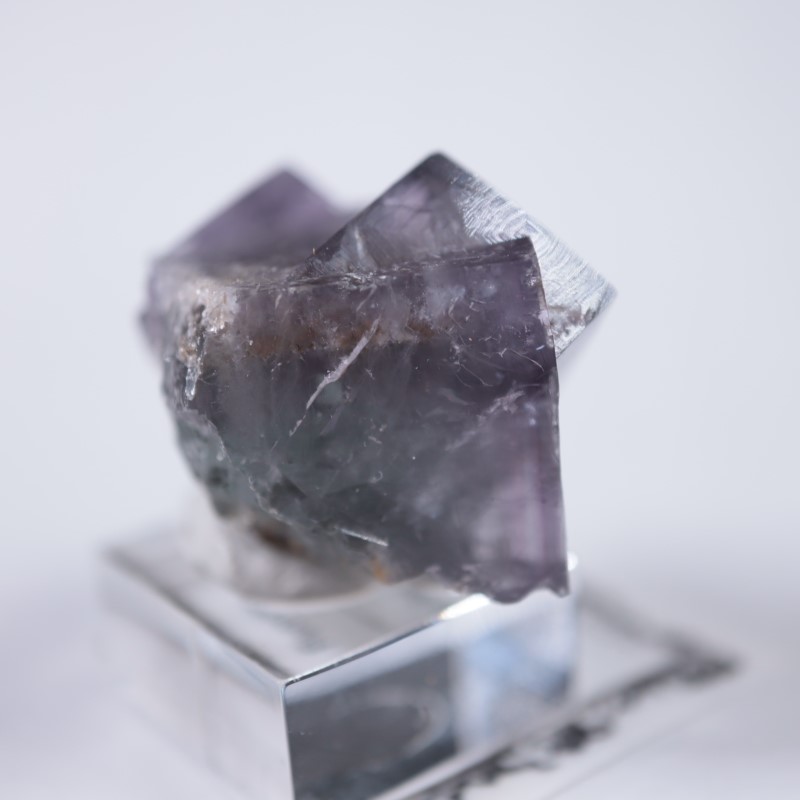 ��ǥ����ʥ٥�ۻ����ե����饤��