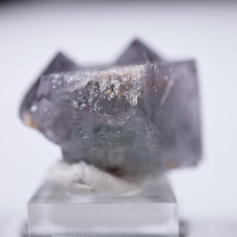 ��ǥ����ʥ٥�ۻ����ե����饤��