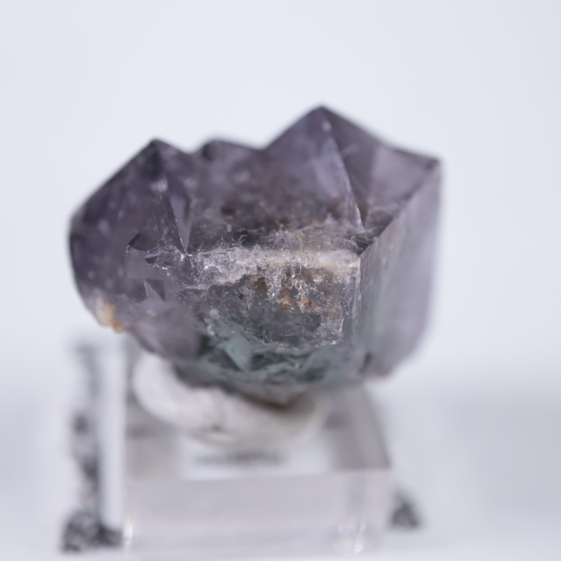 ��ǥ����ʥ٥�ۻ����ե����饤��